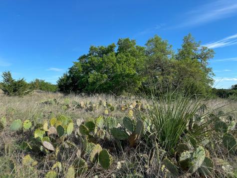 870 Rocky Top Road Southwest Hunt TX 78024