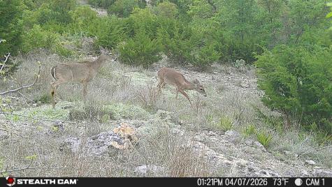 870 Rocky Top Road Southwest Hunt TX 78024