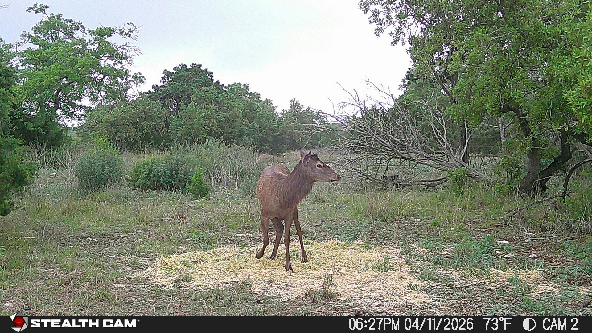 870 Rocky Top Road Southwest Hunt TX 78024