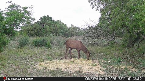 870 Rocky Top Road Southwest Hunt TX 78024