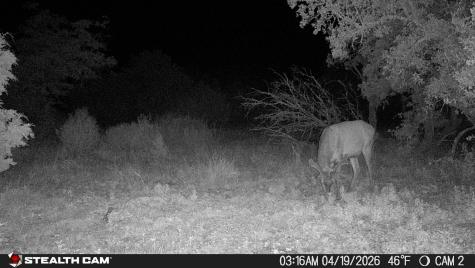 870 Rocky Top Road Southwest Hunt TX 78024