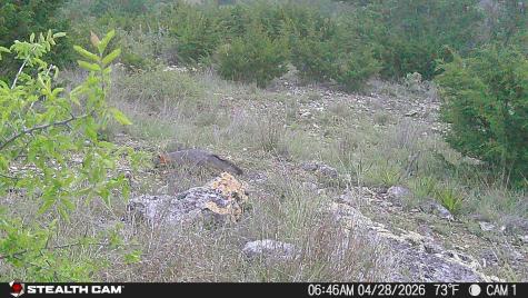870 Rocky Top Road Southwest Hunt TX 78024
