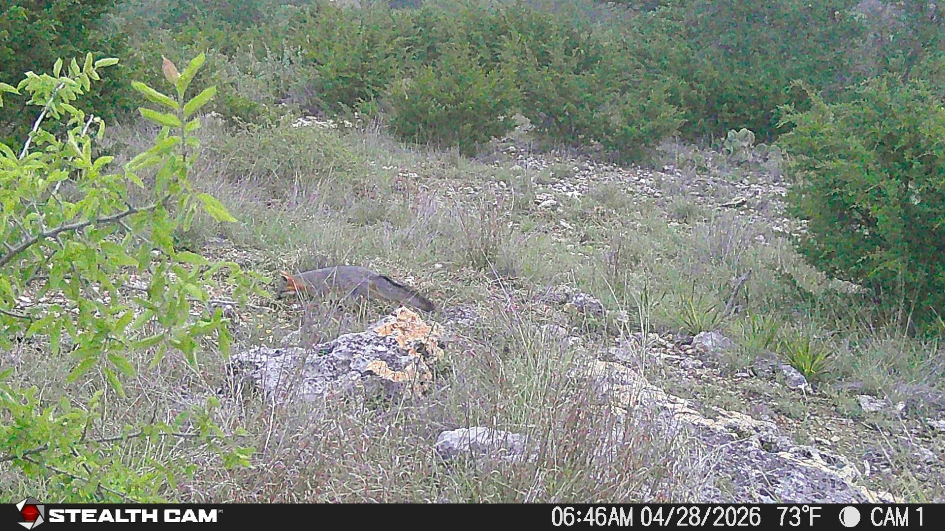 870 Rocky Top Road Southwest Hunt TX 78024
