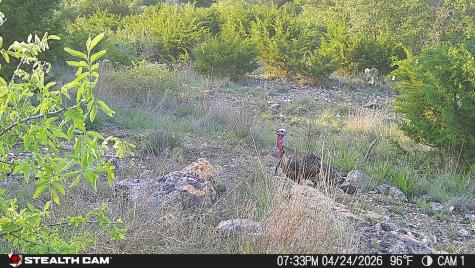 870 Rocky Top Road Southwest Hunt TX 78024