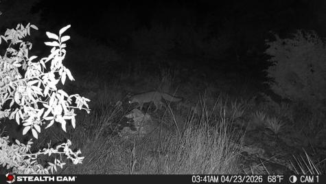 870 Rocky Top Road Southwest Hunt TX 78024