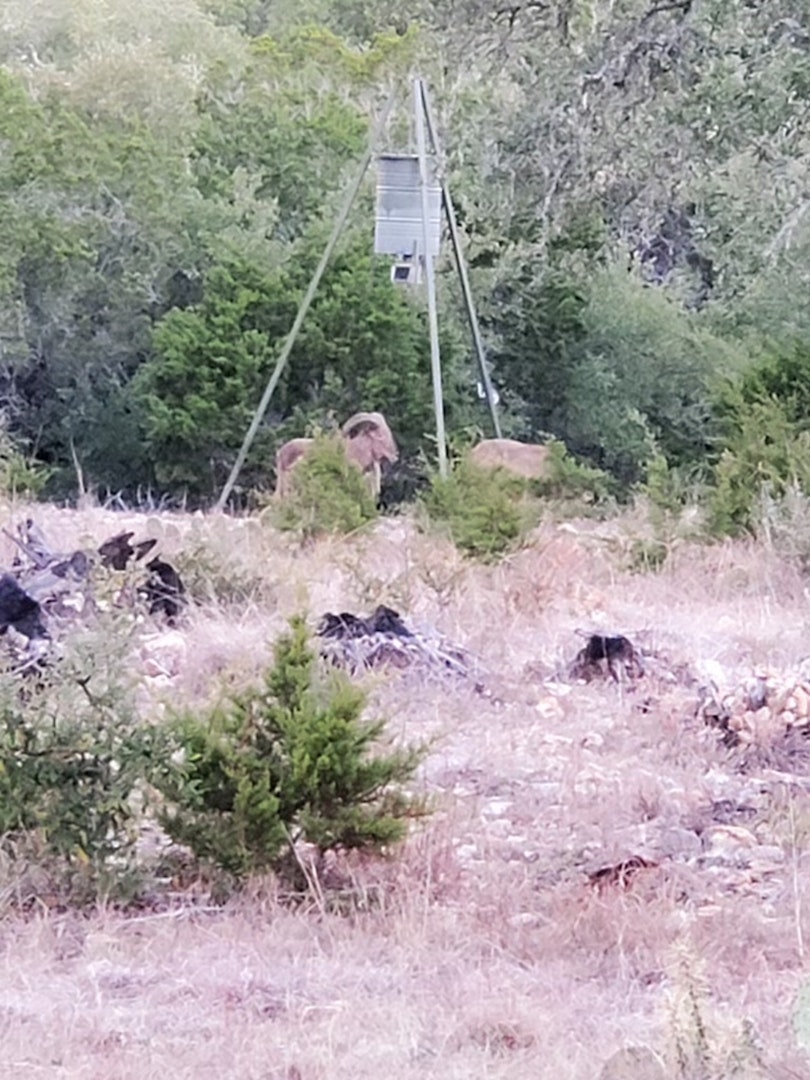 870 Rocky Top Road Southwest Hunt TX 78024