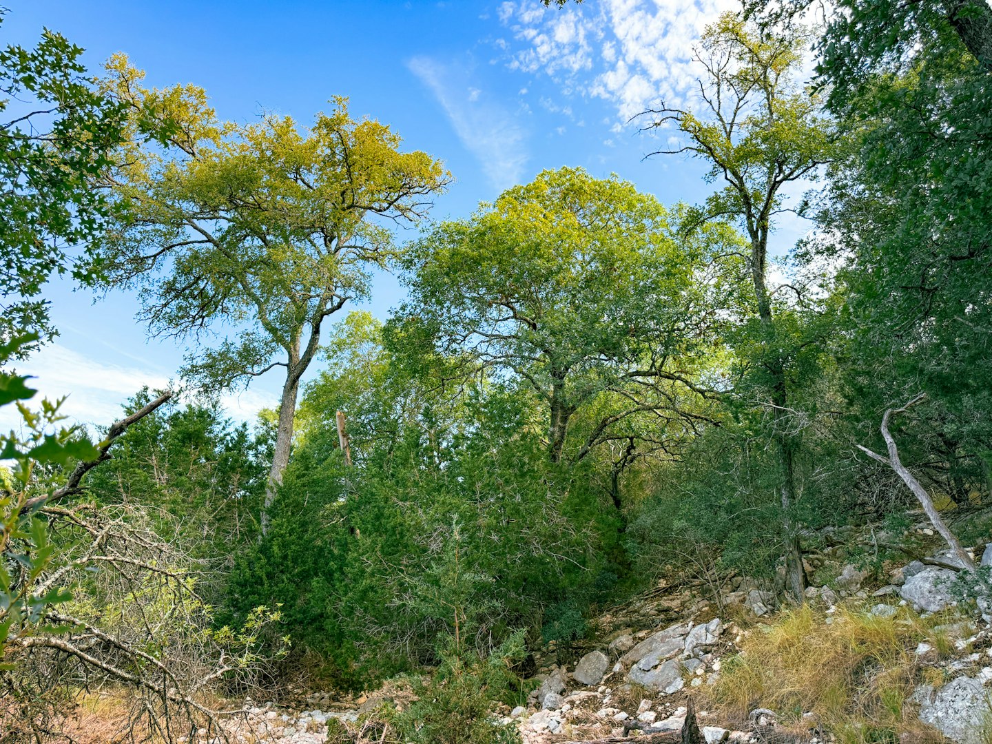 107 Camp Alzafar Road Boerne TX 78006