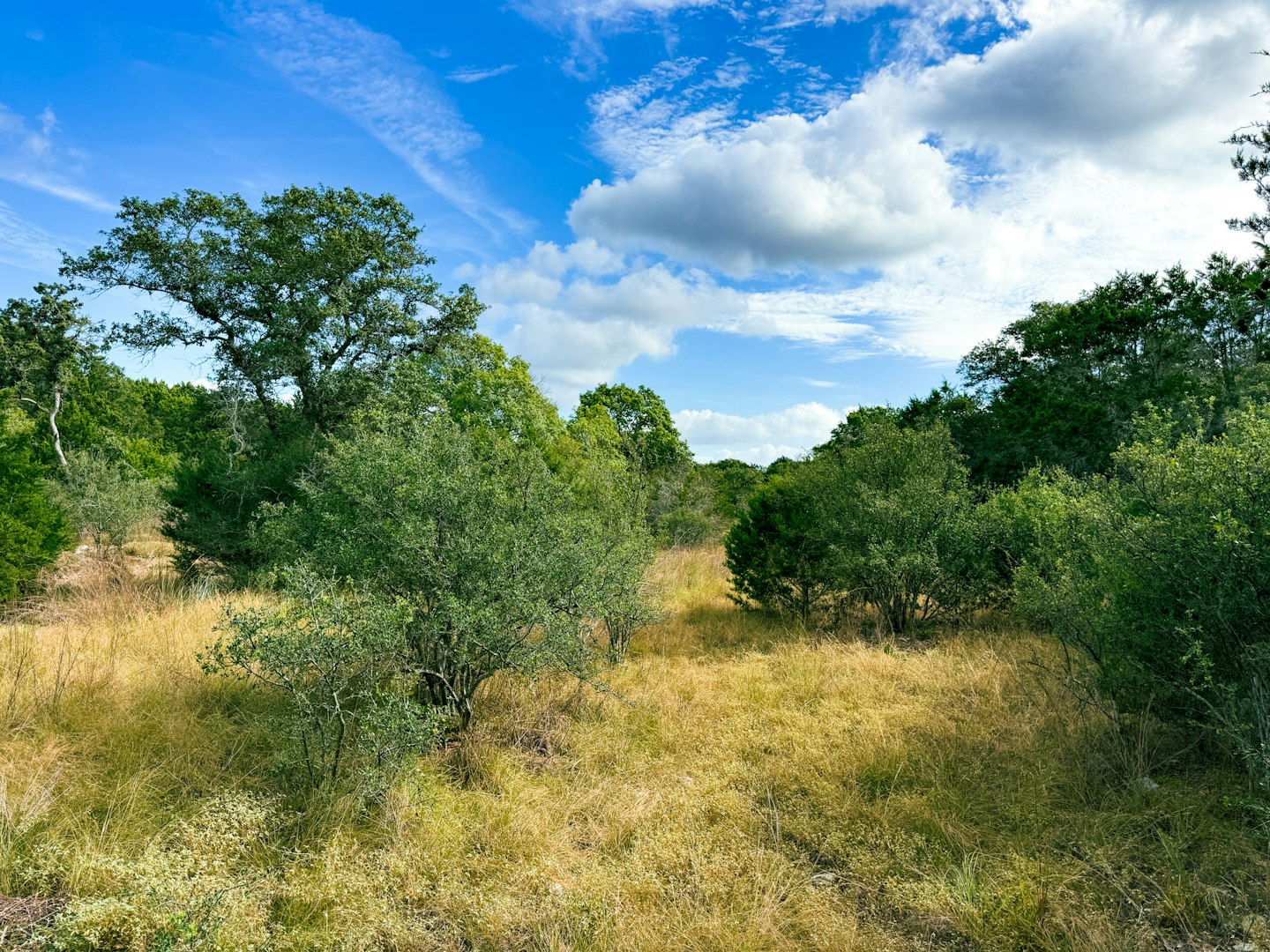 107 Camp Alzafar Road Boerne TX 78006