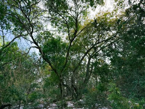 107 Camp Alzafar Road Boerne TX 78006