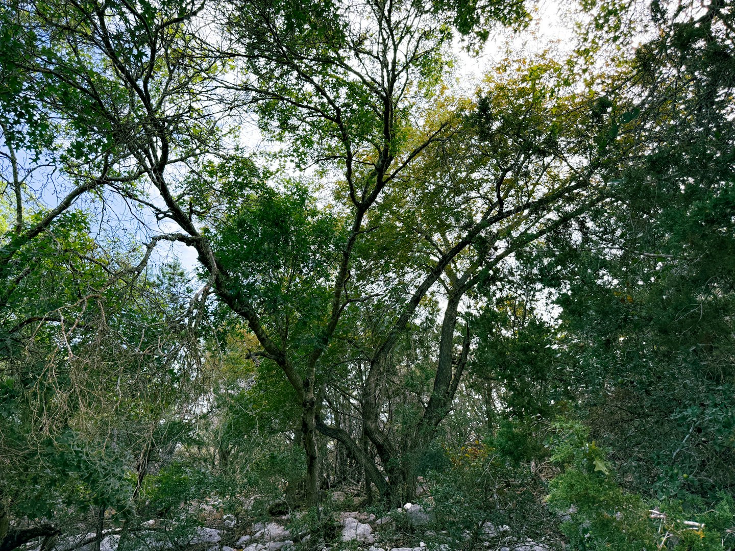 107 Camp Alzafar Road Boerne TX 78006