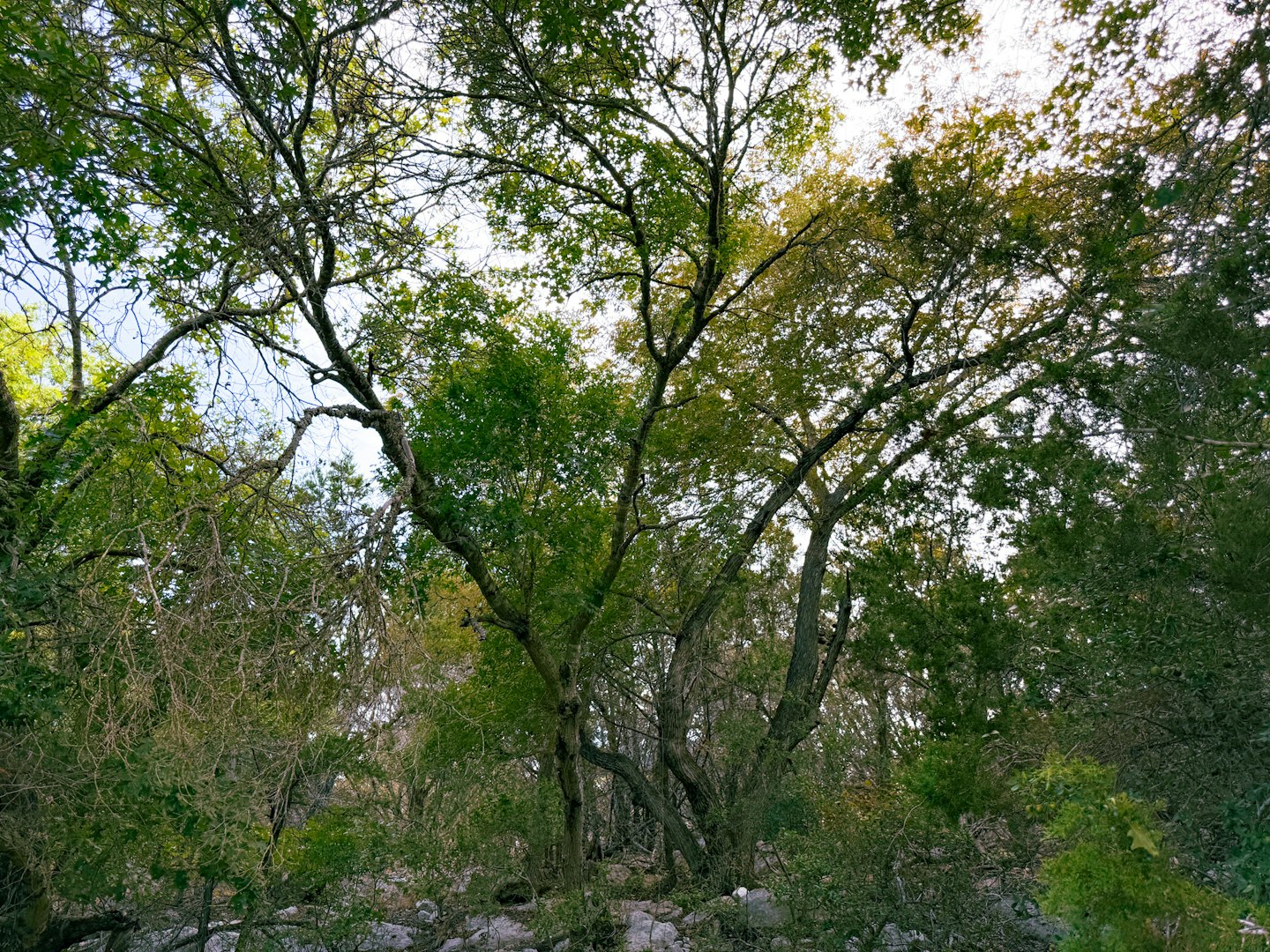 107 Camp Alzafar Road Boerne TX 78006