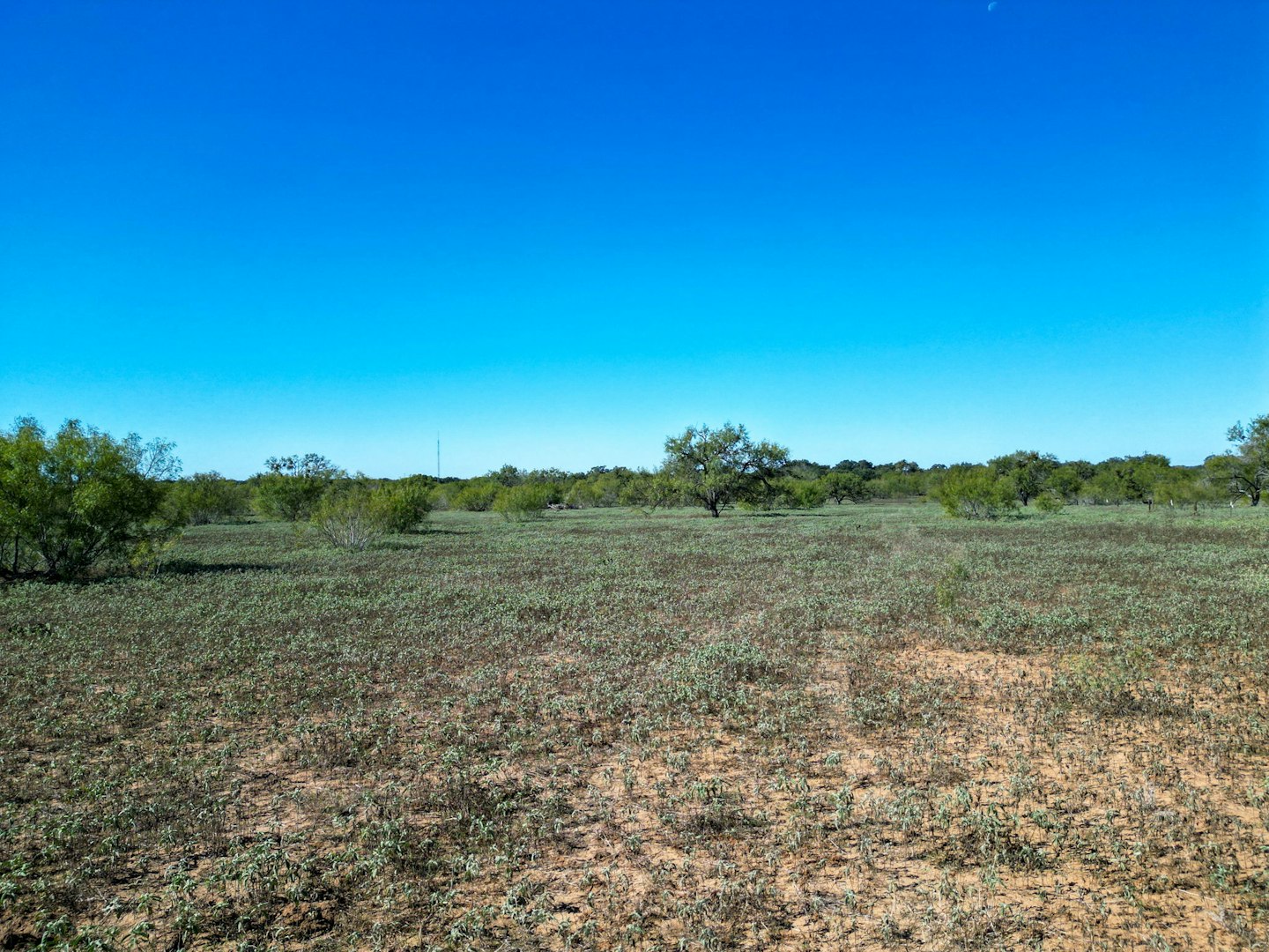 2452 2nd Street Pleasanton TX 78064