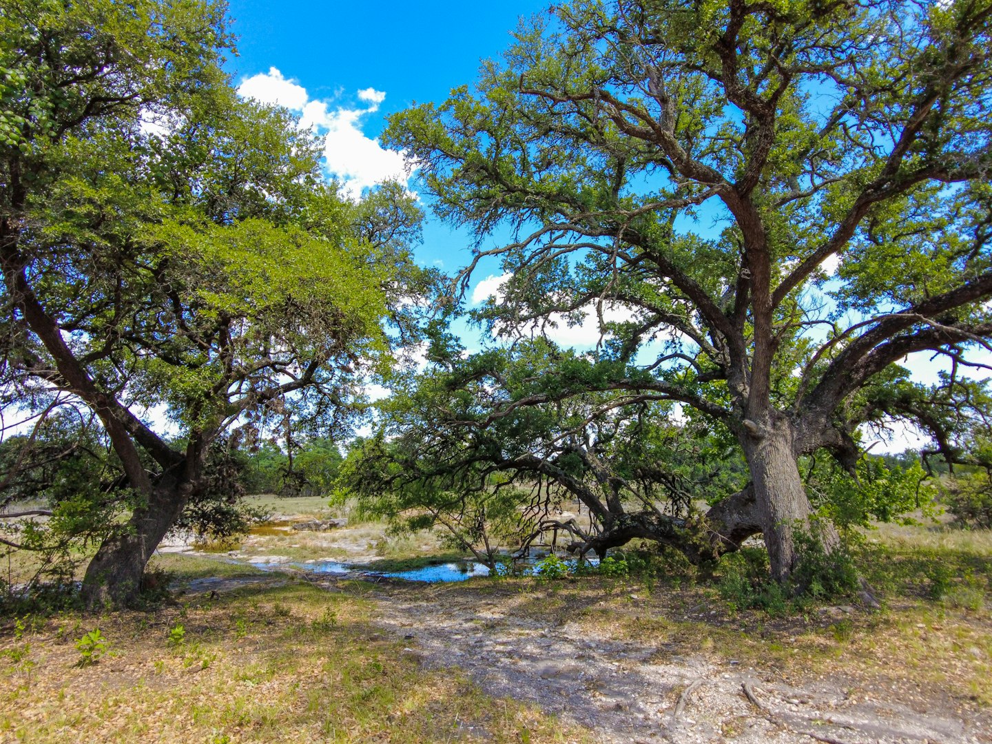 3923 Us 281 Marble Falls TX 78654