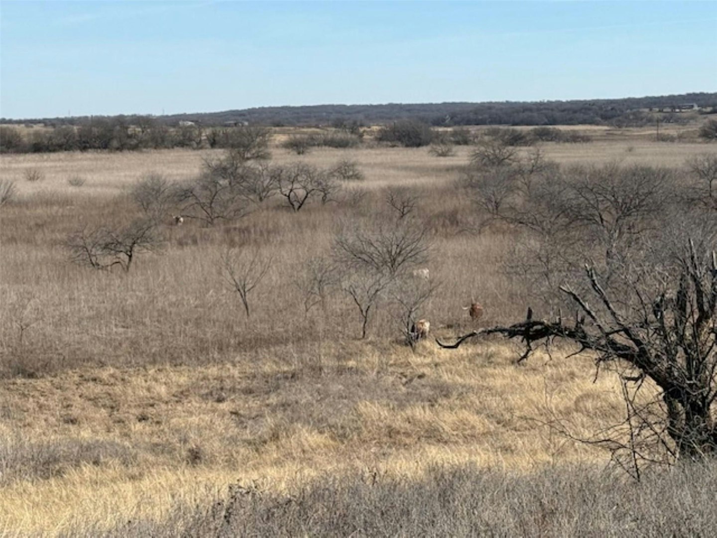 363 County Road 4403 Grandview TX 76050