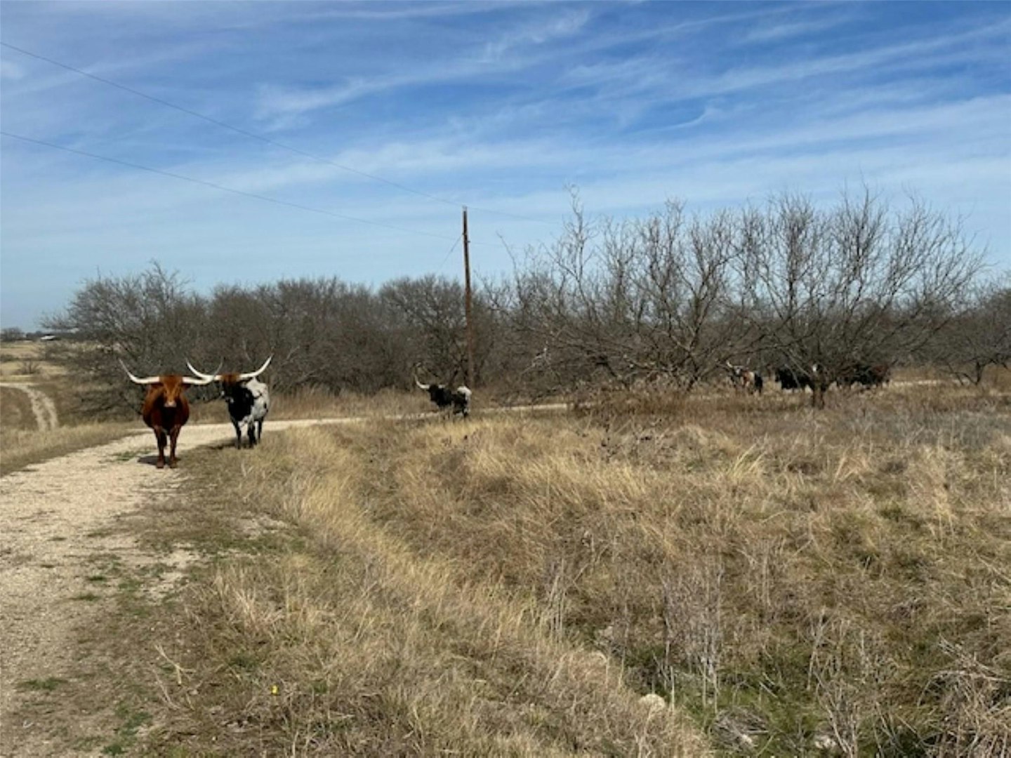 363 County Road 4403 Grandview TX 76050