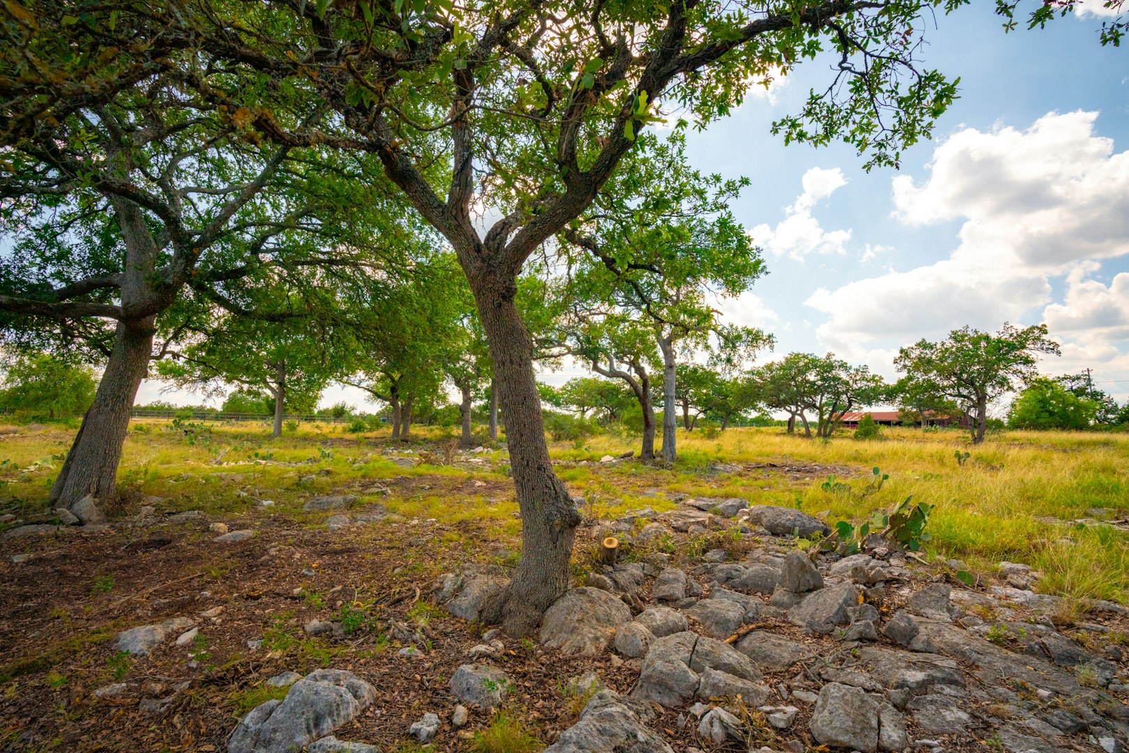 Boerne TX, 105 Bella Springs