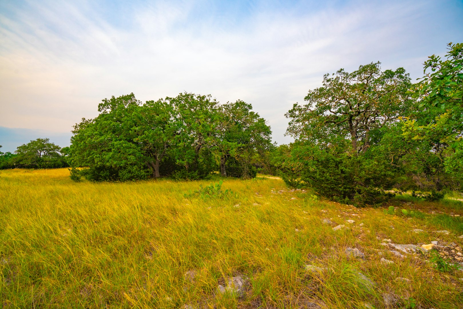 105 Bella Springs Boerne TX 78006