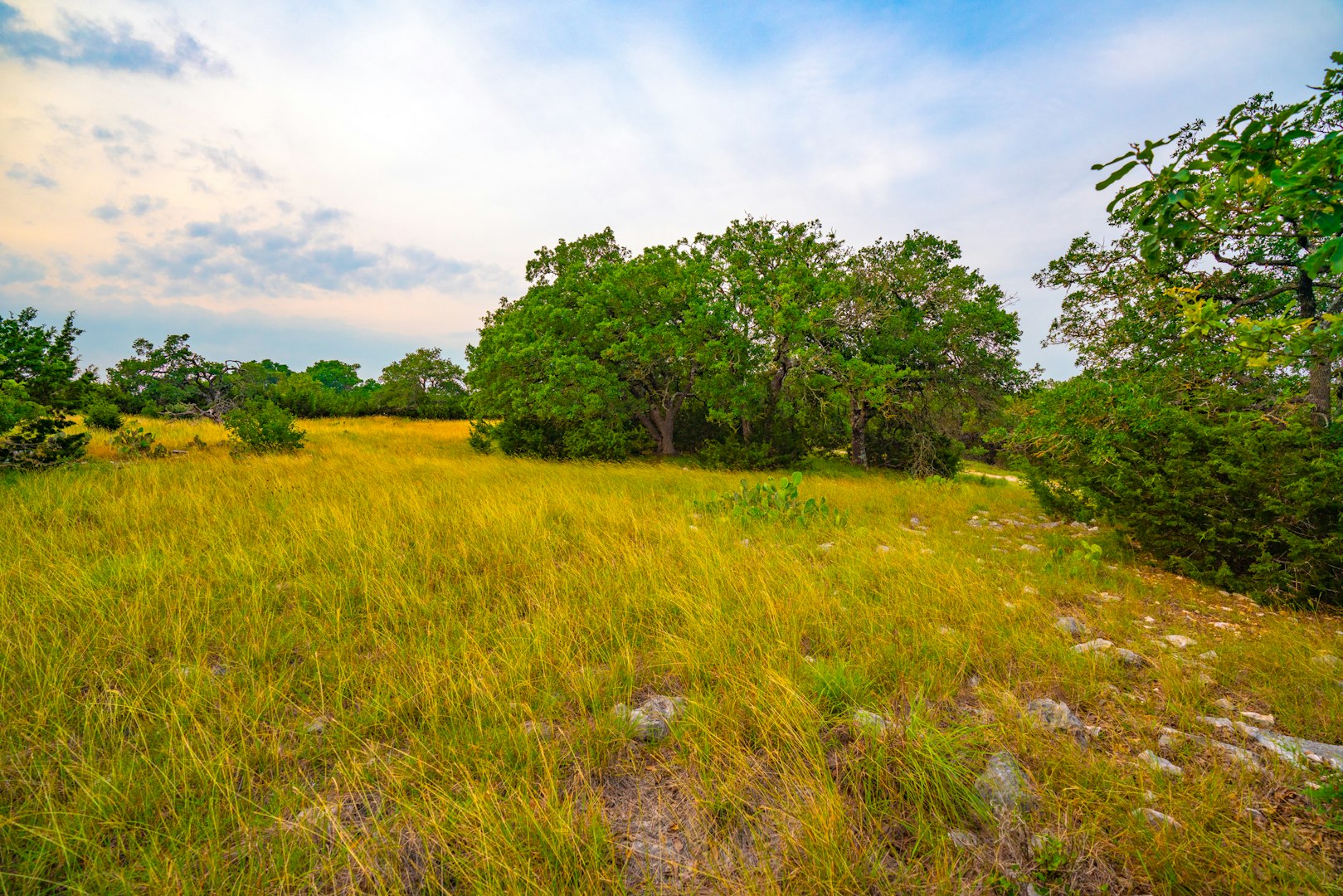 105 Bella Springs Boerne TX 78006