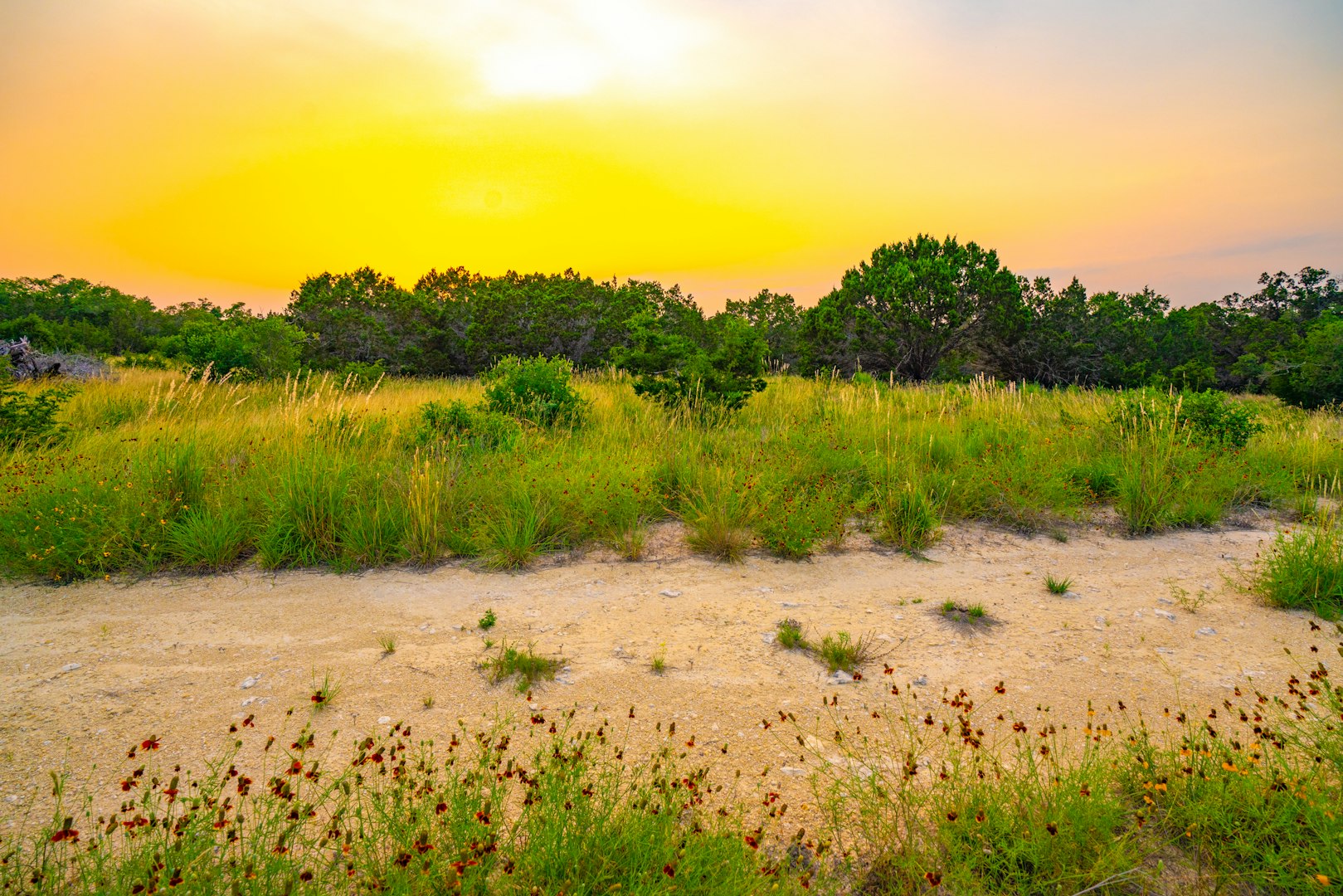 105 Bella Springs Boerne TX 78006