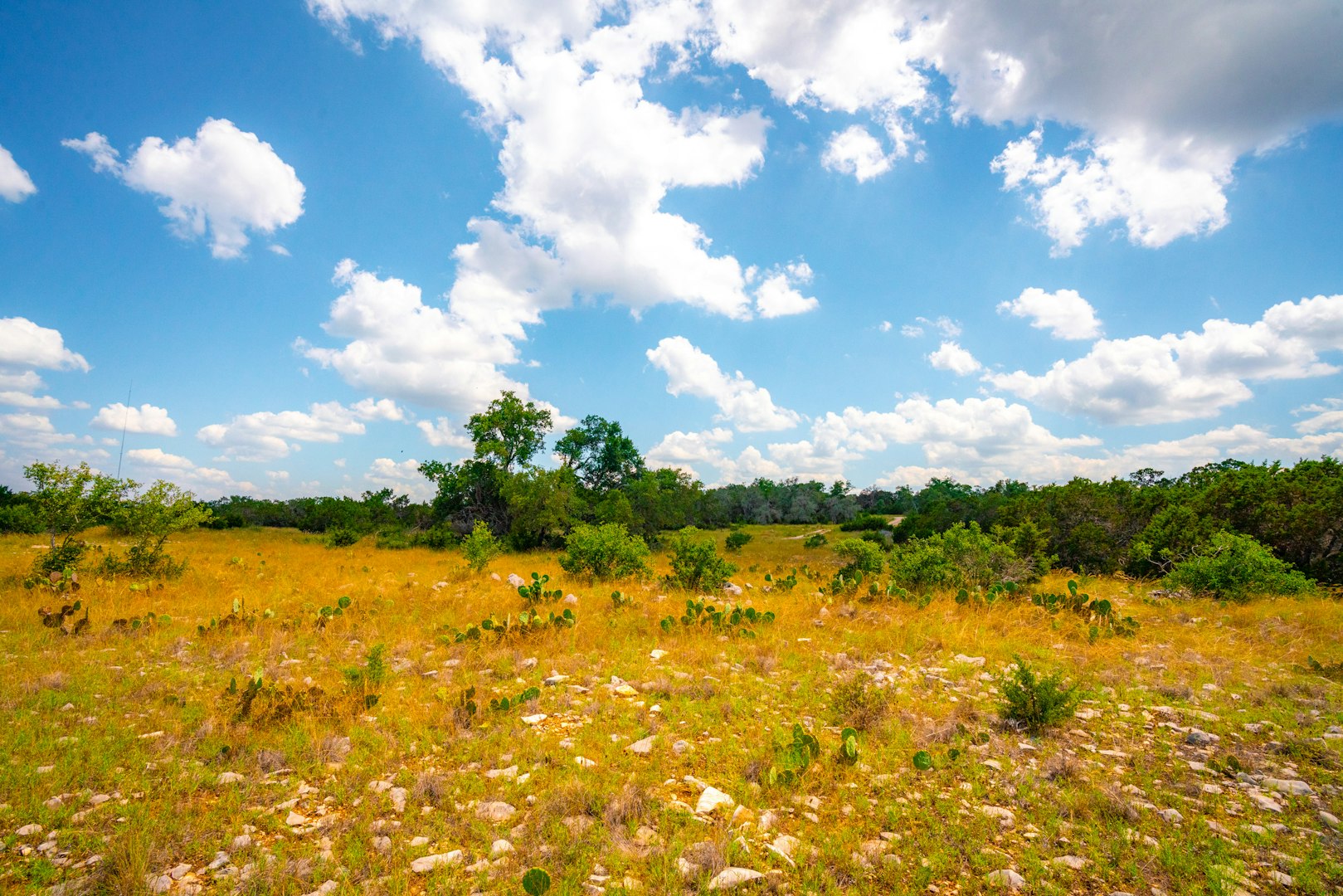 105 Bella Springs Boerne TX 78006