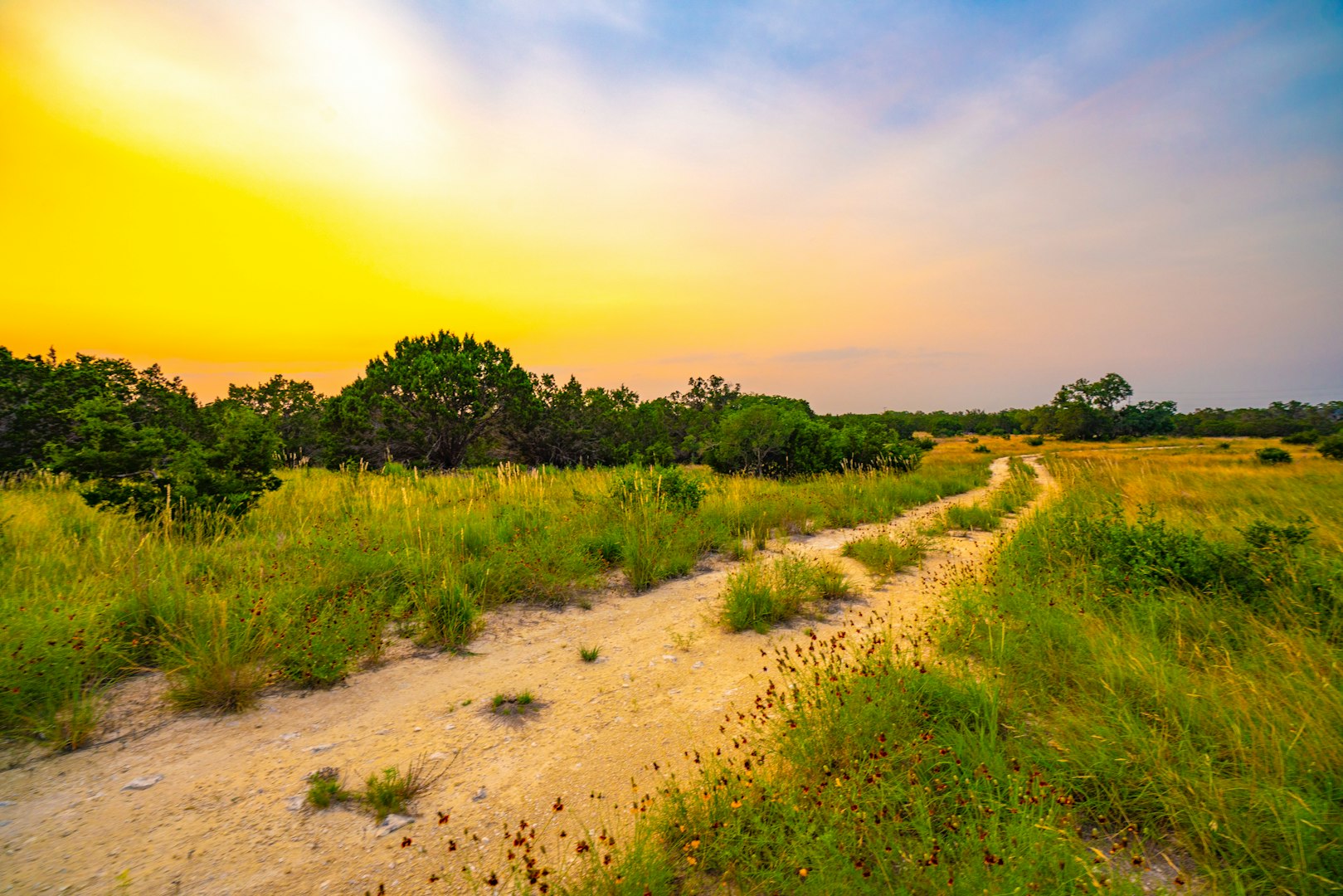 105 Bella Springs Boerne TX 78006