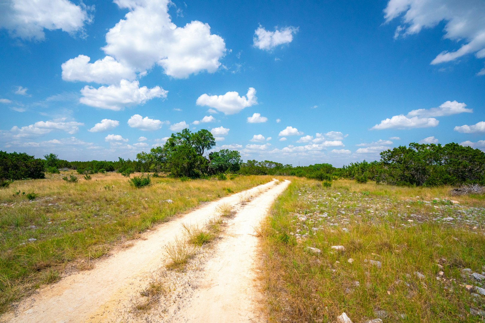 105 Bella Springs Boerne TX 78006