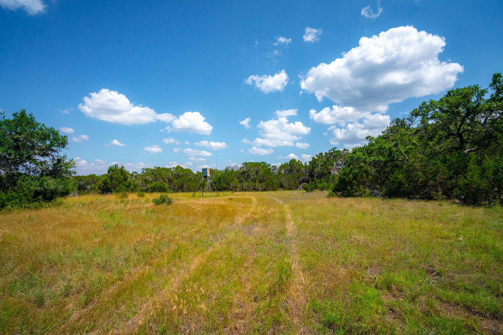 105 Bella Springs Boerne TX 78006