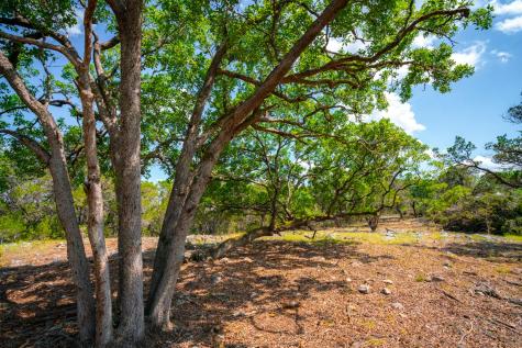 105 Bella Springs Boerne TX 78006