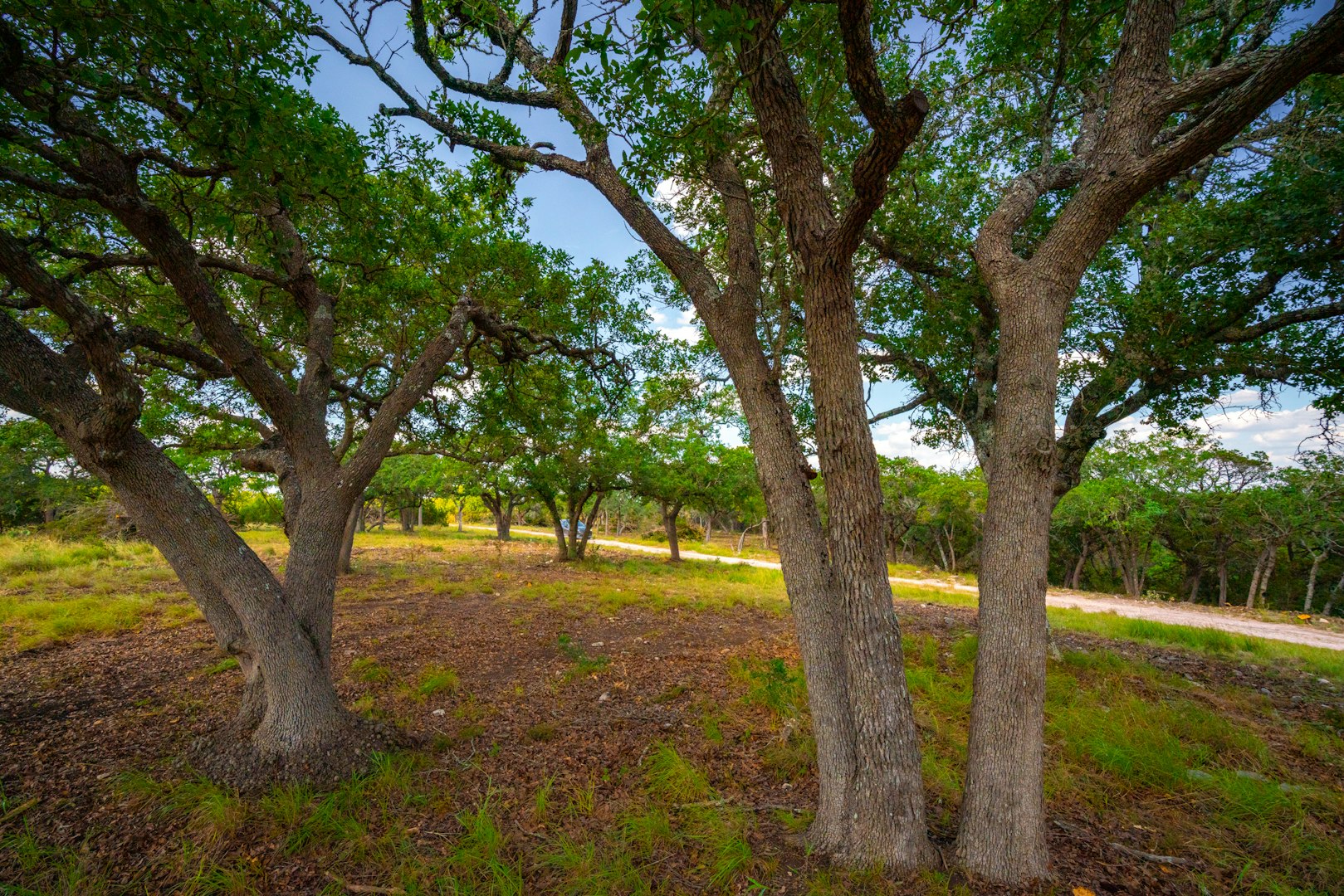 105 Bella Springs Boerne TX 78006