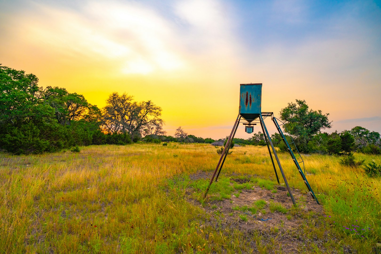 105 Bella Springs Boerne TX 78006