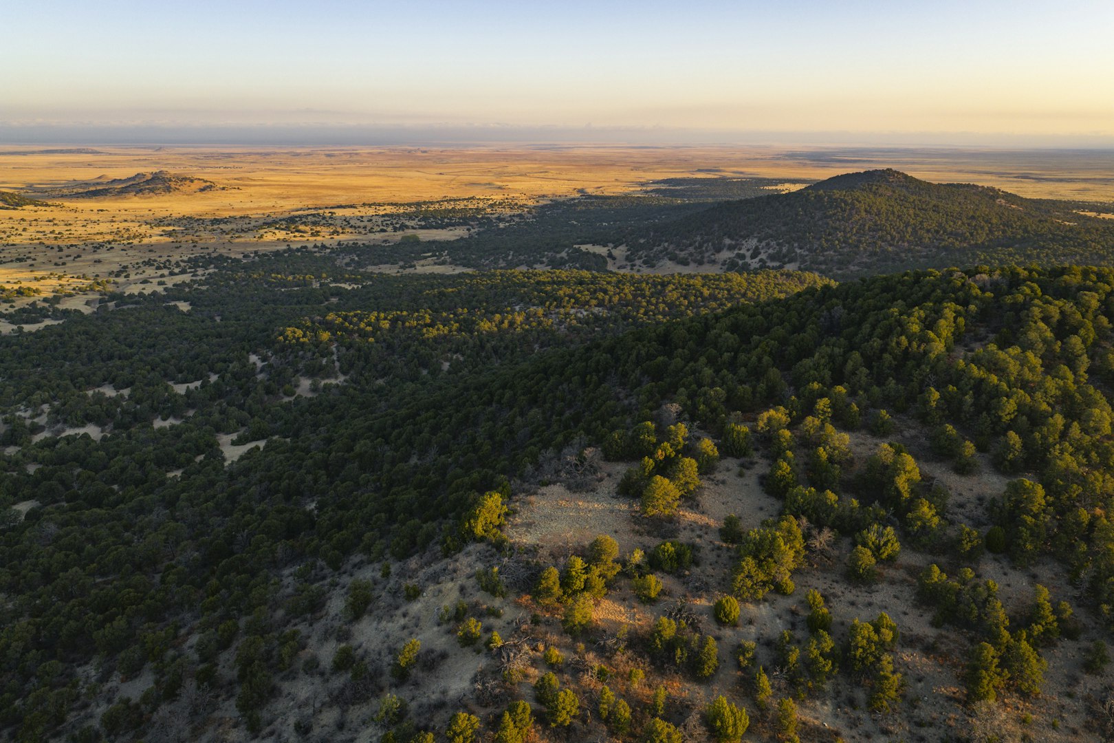 0000 Tbd Folsom NM 88419