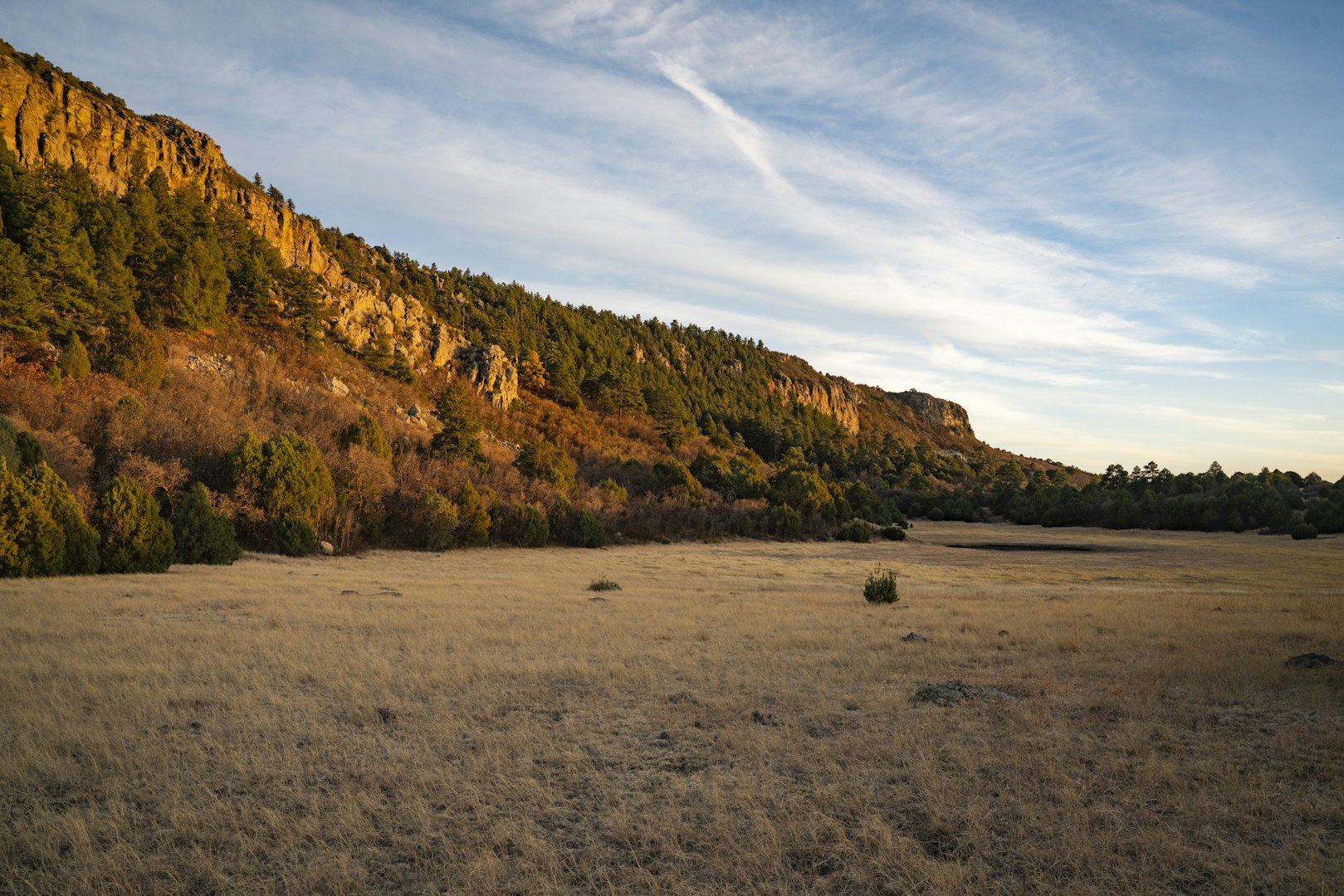 0000 Tbd Folsom NM 88419