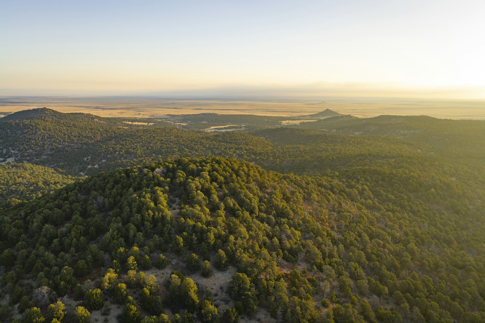 0000 Tbd Folsom NM 88419