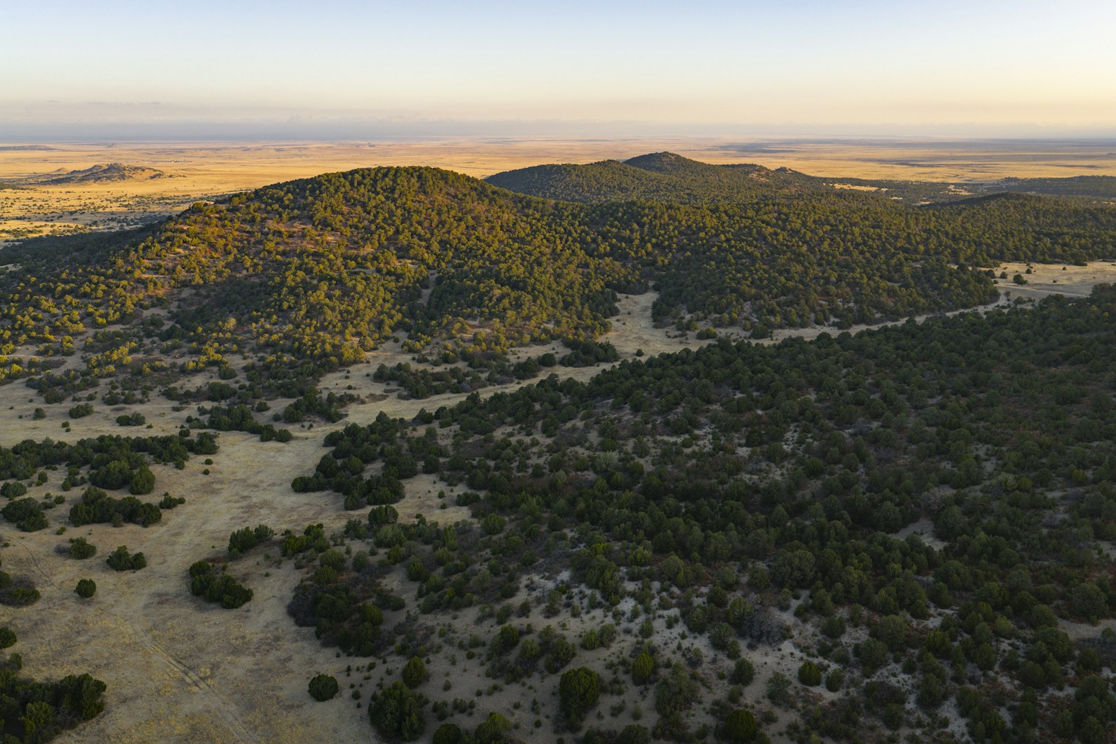 0000 Tbd Folsom NM 88419
