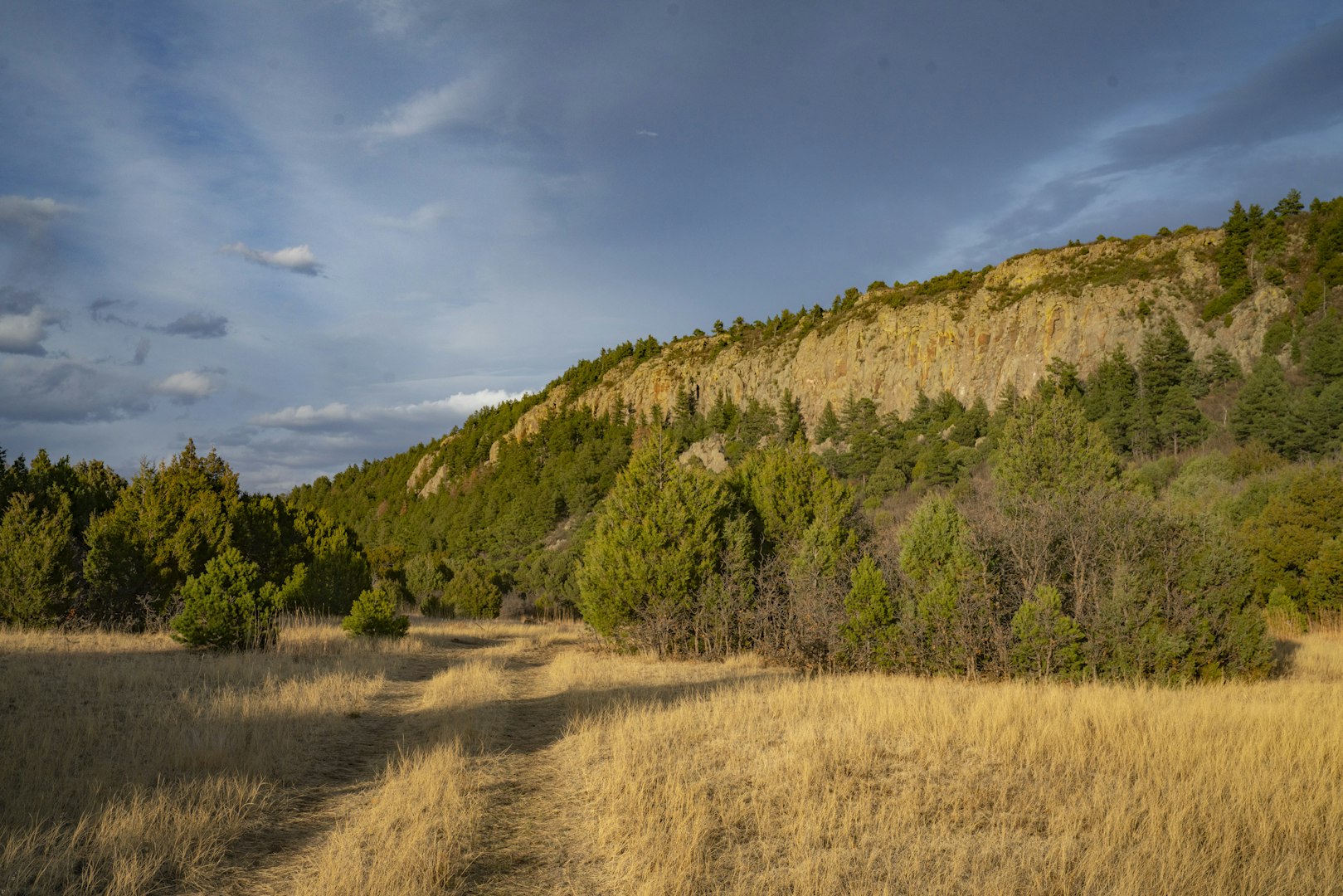 0000 Tbd Folsom NM 88419