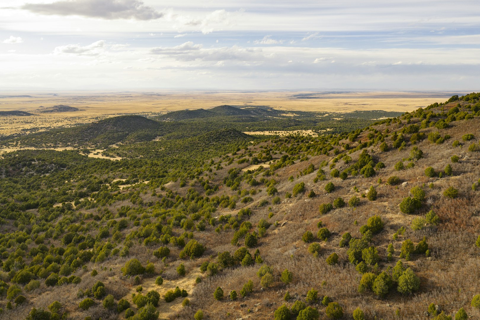 0000 Tbd Folsom NM 88419