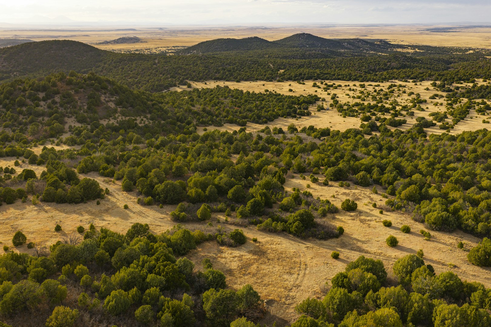 0000 Tbd Folsom NM 88419