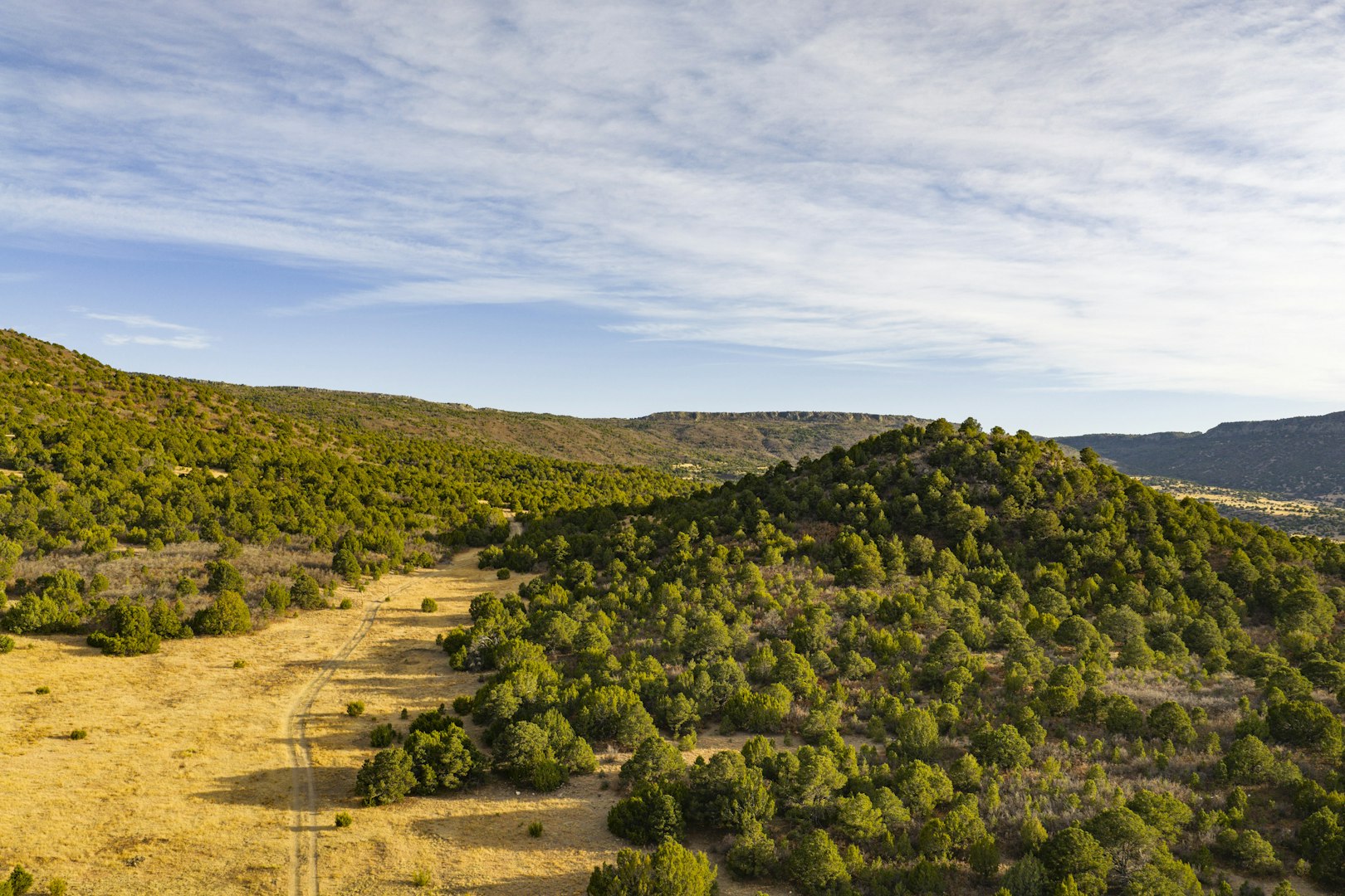 0000 Tbd Folsom NM 88419