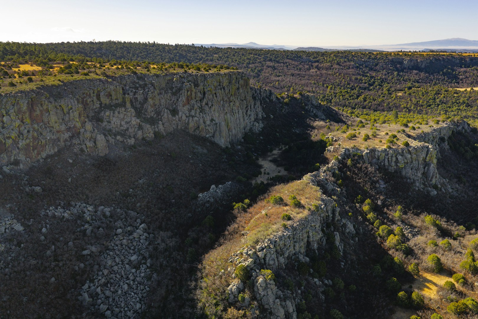 0000 Tbd Folsom NM 88419