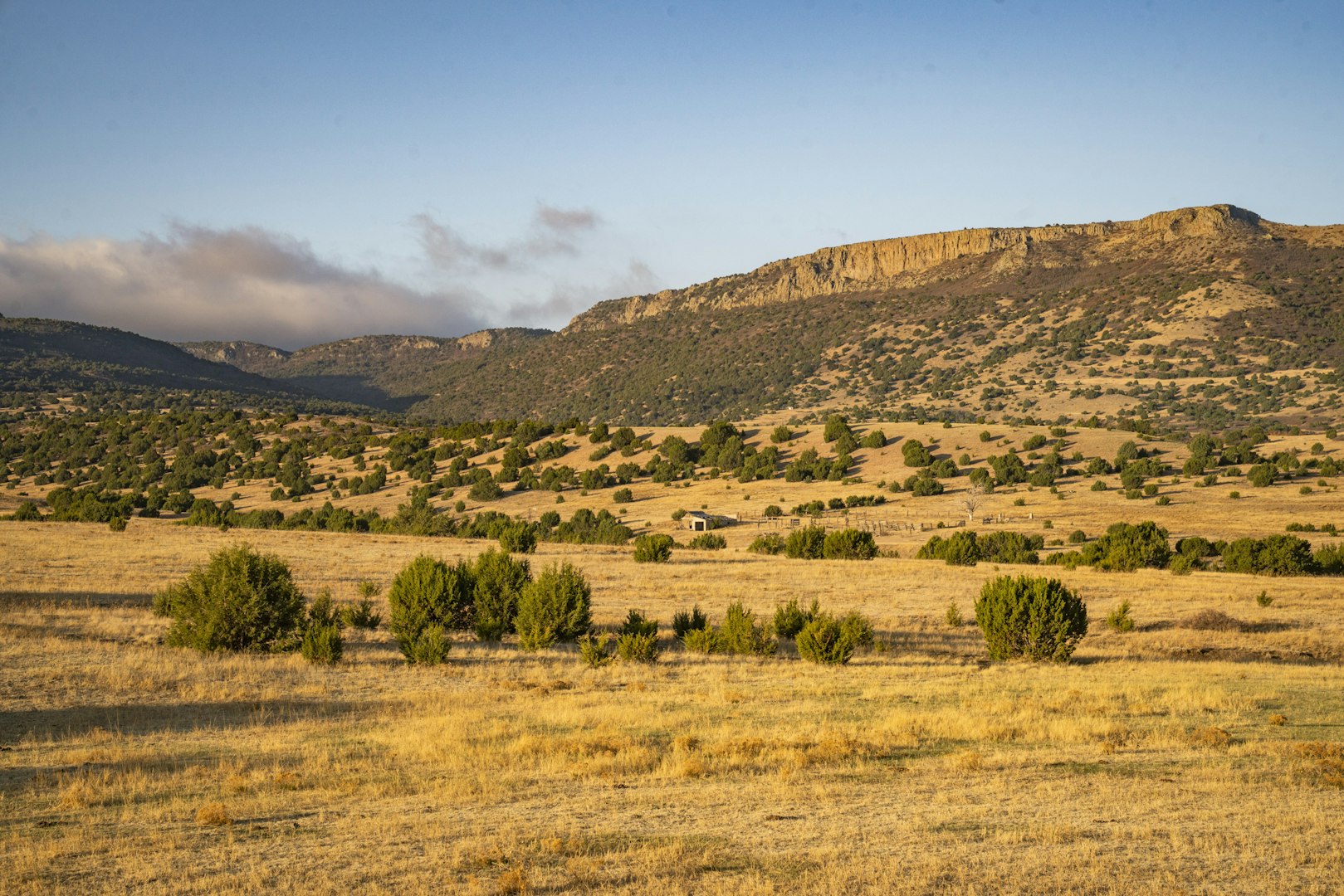 0000 Tbd Folsom NM 88419