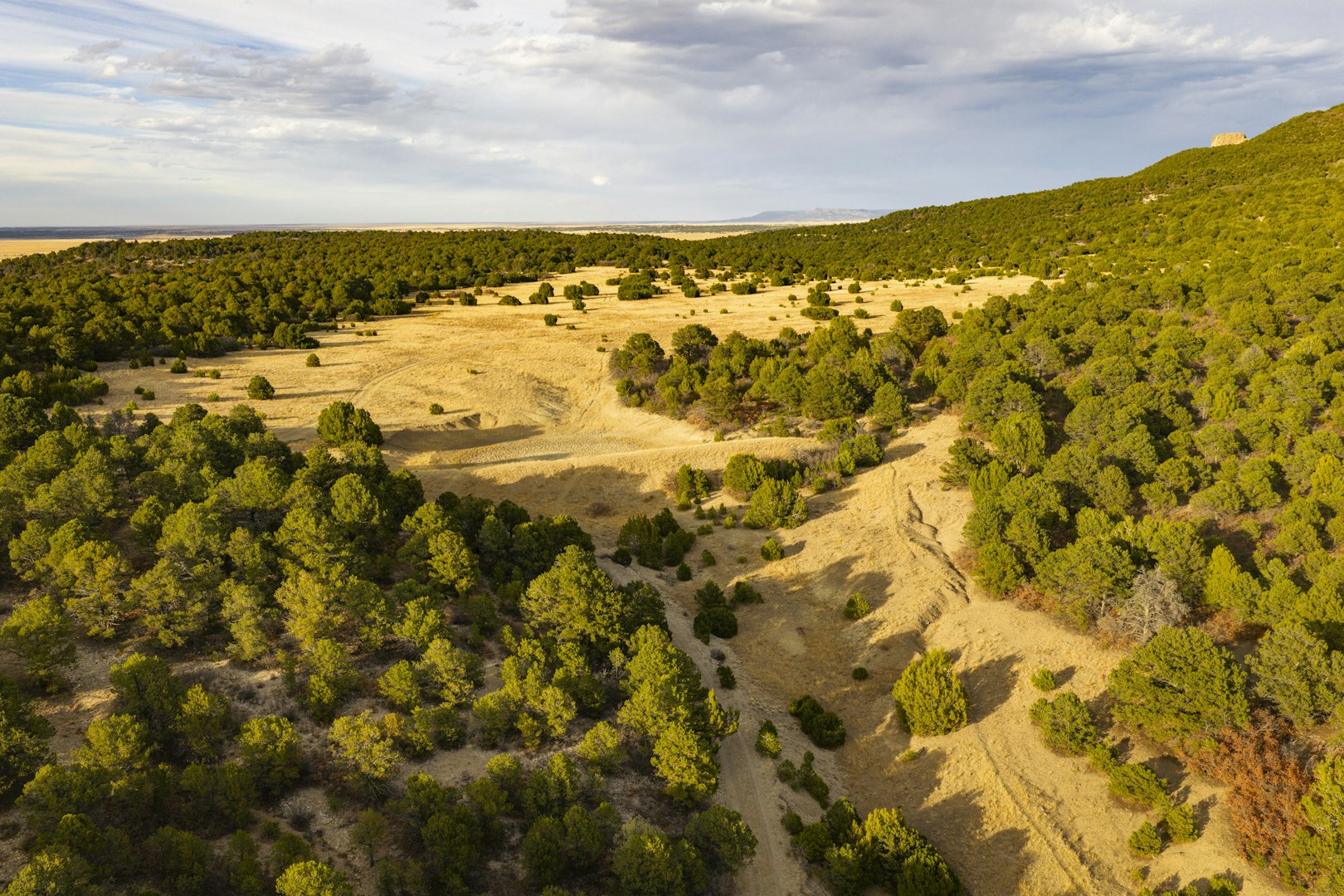 0000 Tbd Folsom NM 88419