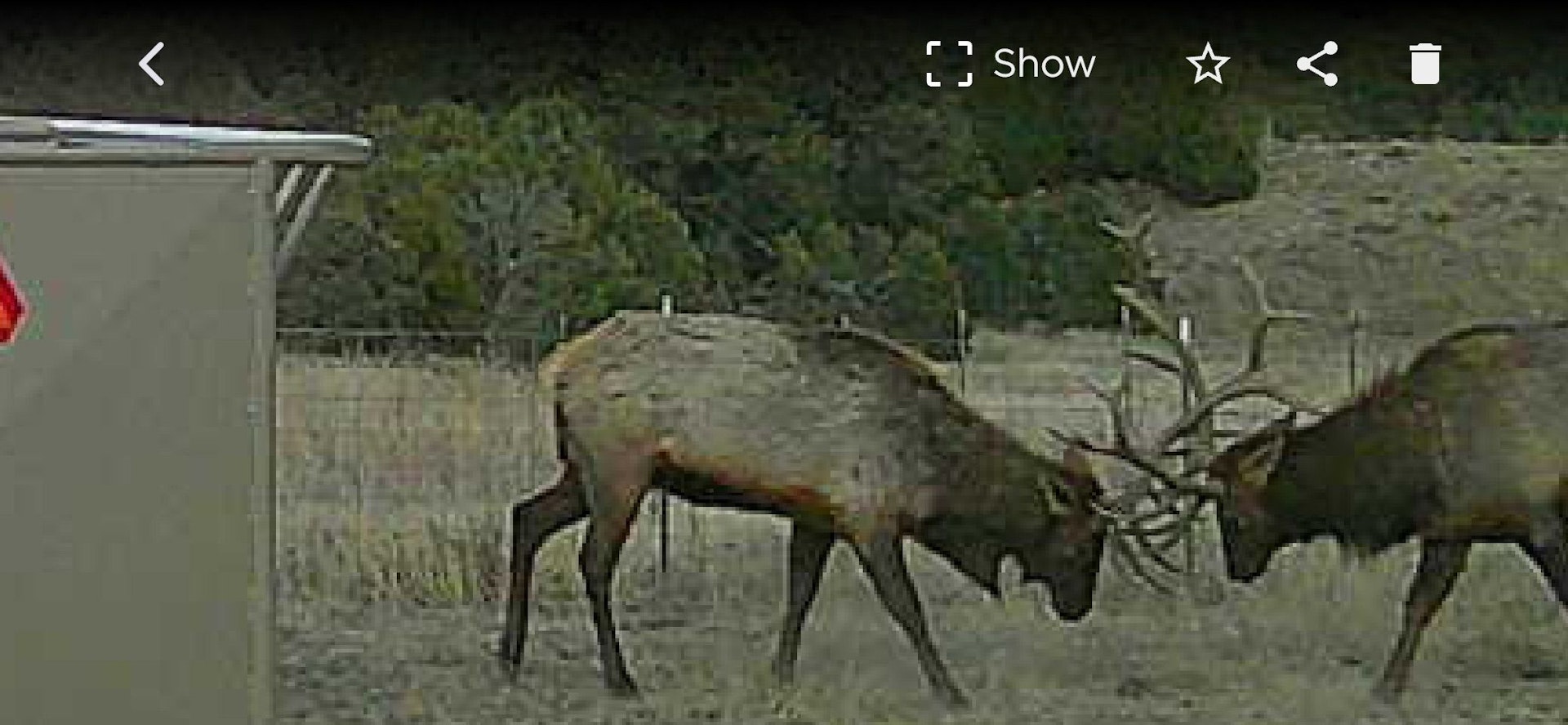 0000 Tbd Folsom NM 88419