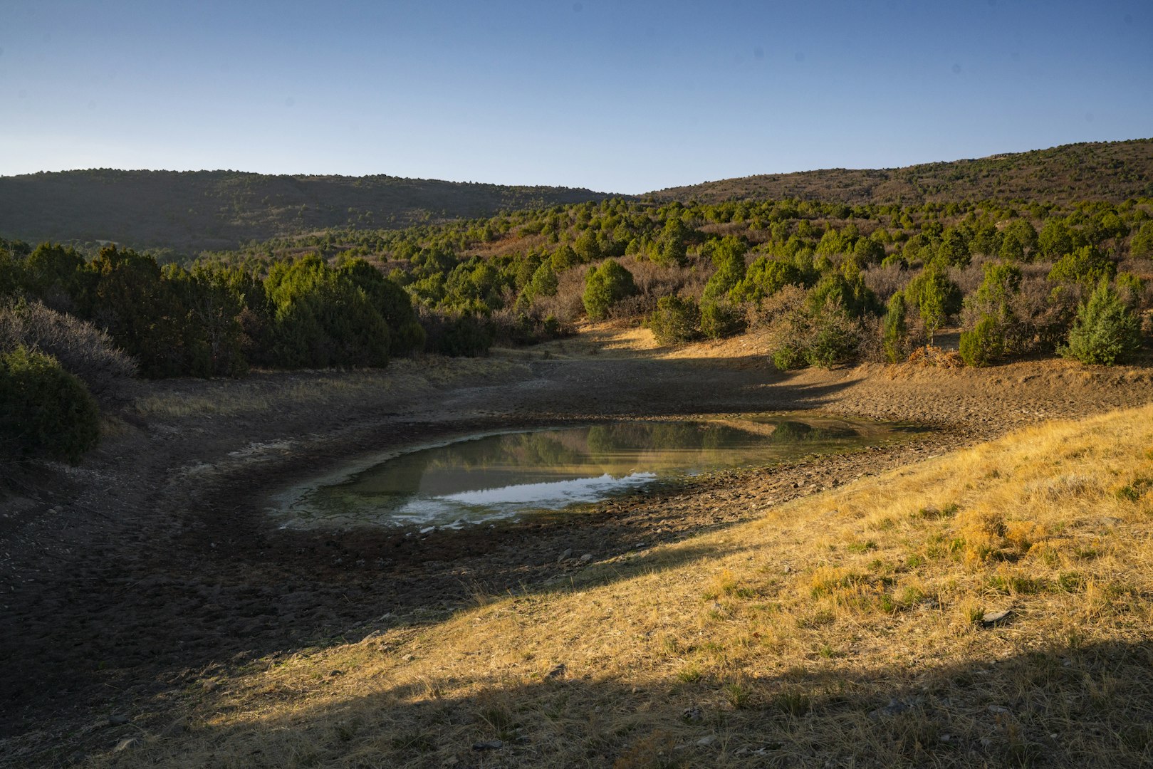 0000 Tbd Folsom NM 88419