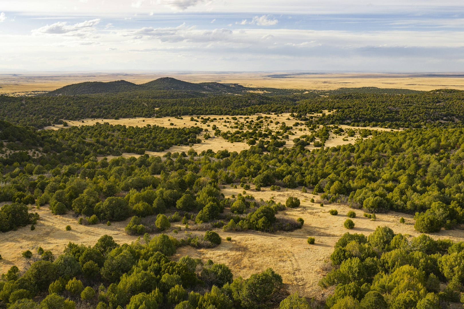 0000 Tbd Folsom NM 88419