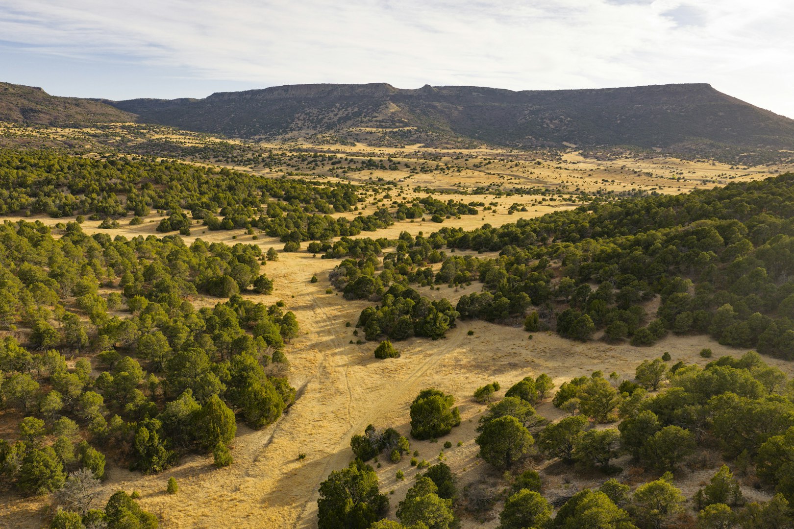 0000 Tbd Folsom NM 88419