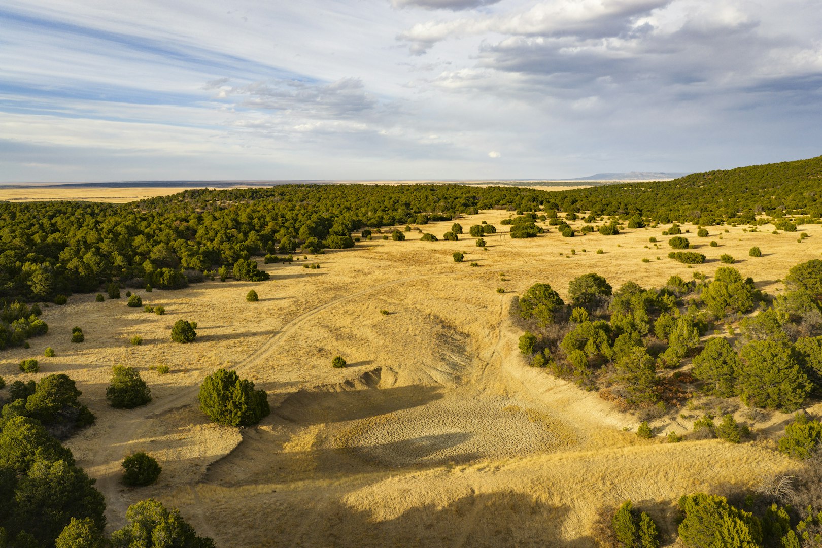 0000 Tbd Folsom NM 88419