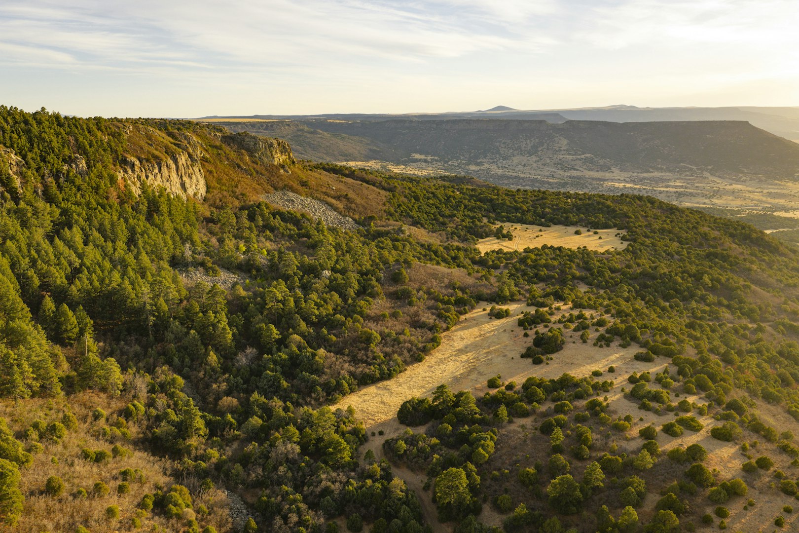 0000 Tbd Folsom NM 88419