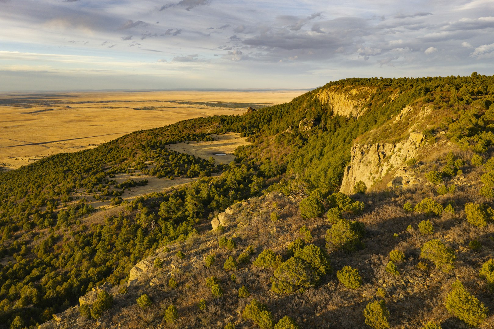 0000 Tbd Folsom NM 88419
