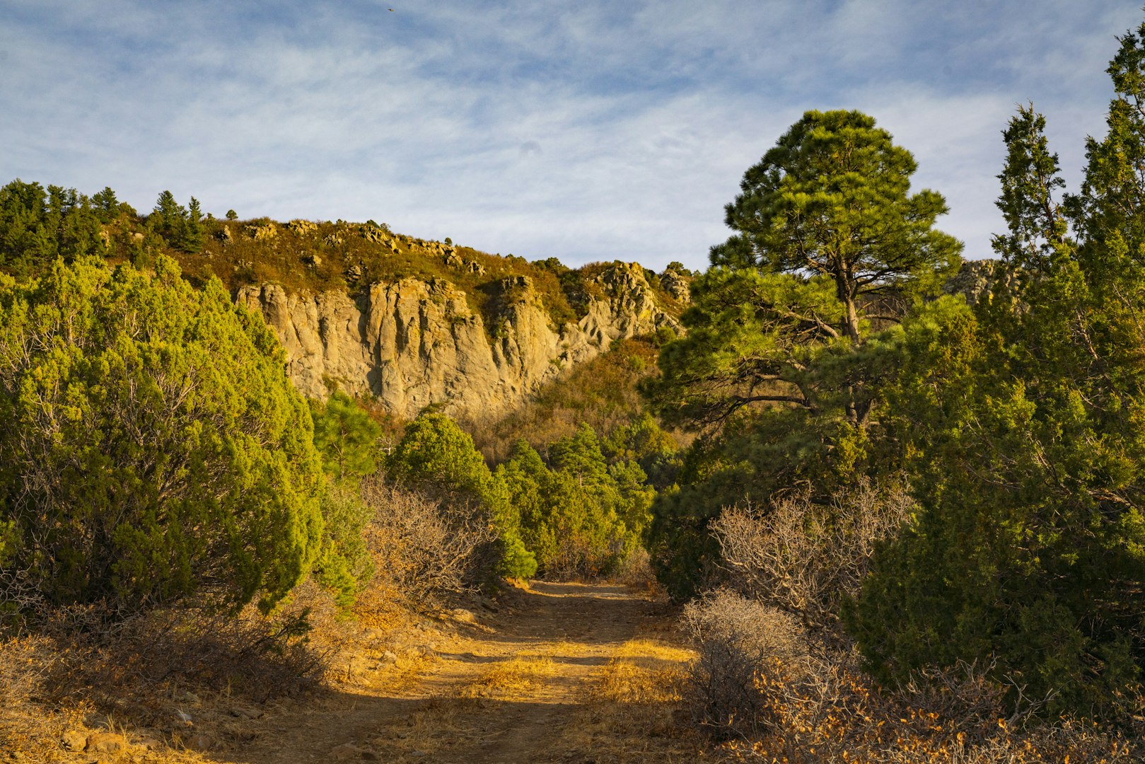 0000 Tbd Folsom NM 88419
