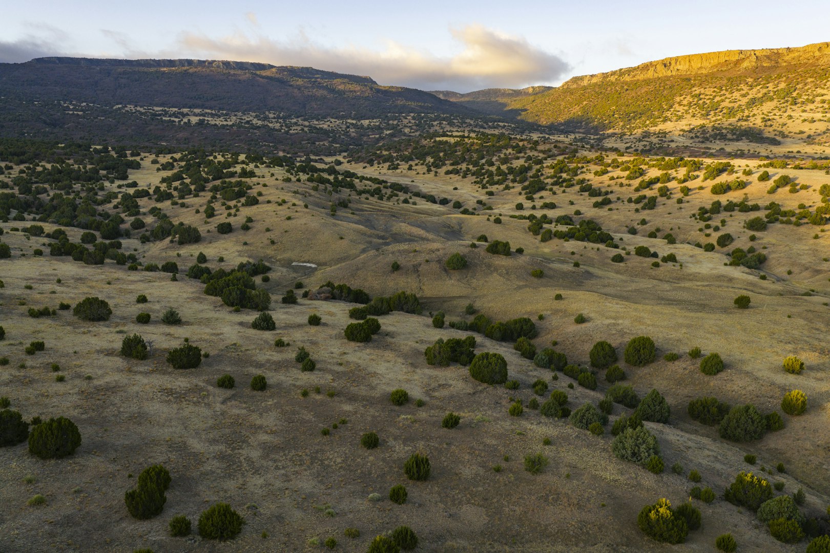 0000 Tbd Folsom NM 88419
